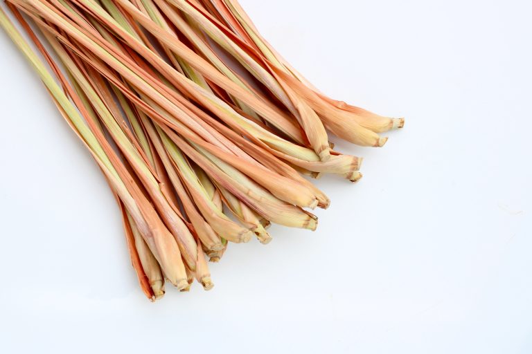 Dry lemongrass on white background.