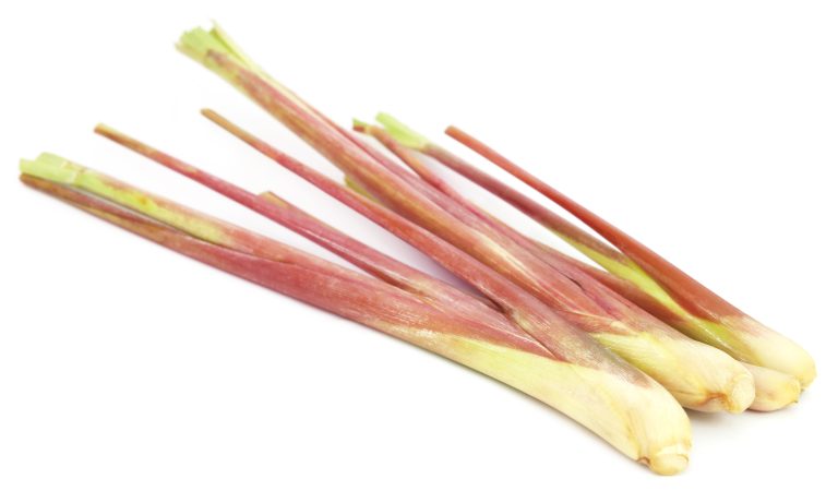 Pink lemongrass over white background