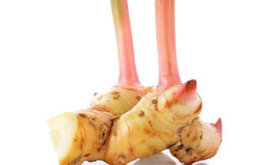 Fresh galangal isolated on white background.