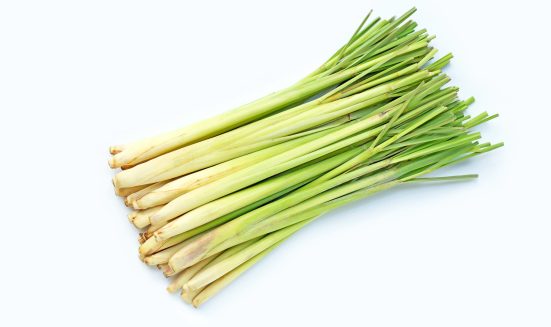 Fresh lemongrass on white background.